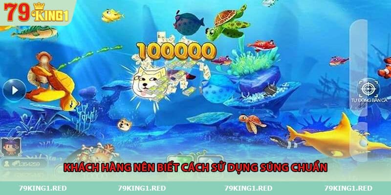 Khách hàng nên biết cách sử dụng súng chuẩn 